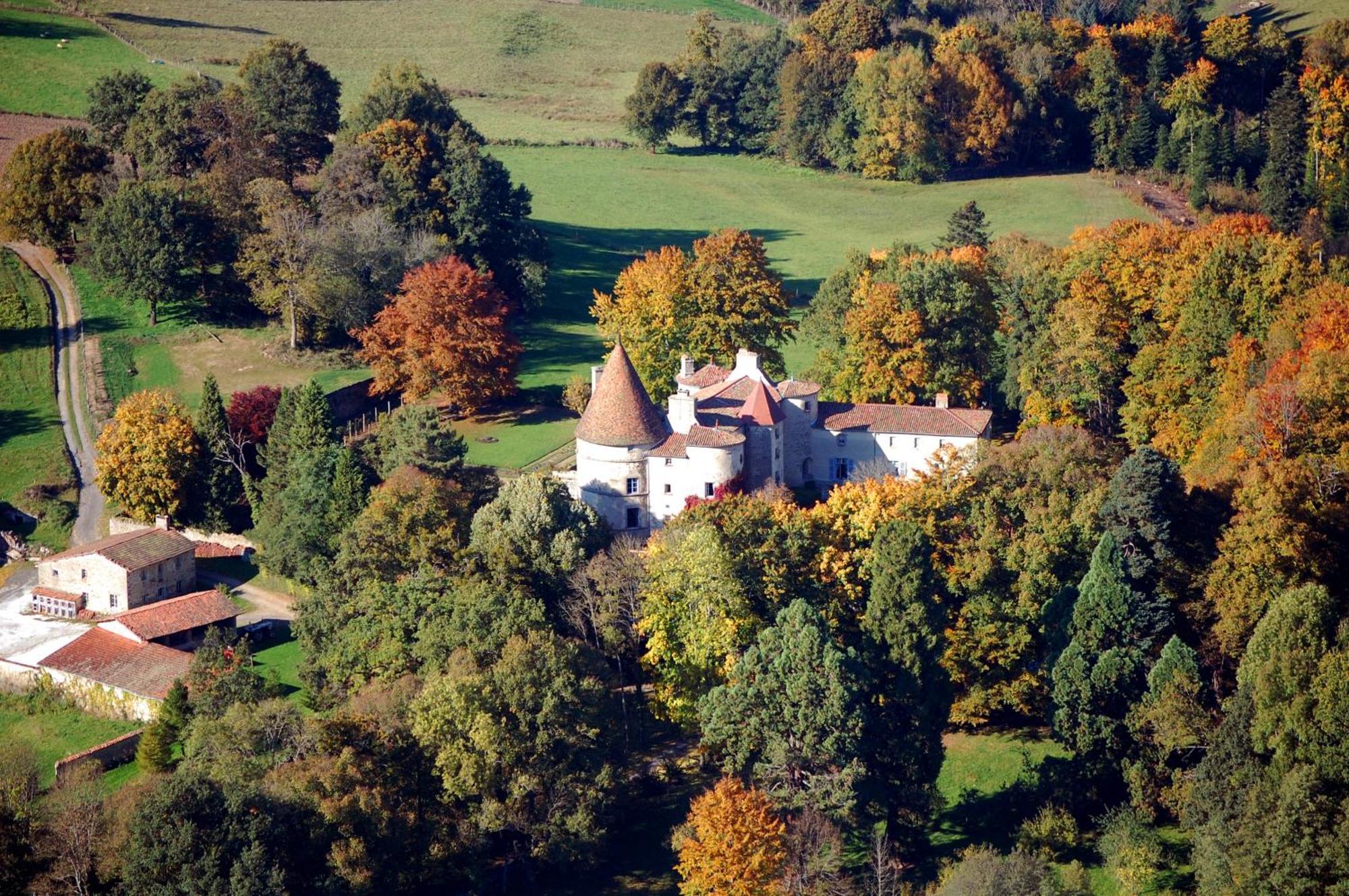 Chateau Des Martinanches Saint-Dier-d'Auvergne Luaran gambar